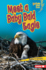 Meet_a_Baby_Bald_Eagle