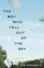 The_boy_who_fell_out_of_the_sky