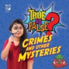 Crimes_and_other_mysteries