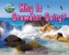 Why_is_seawater_salty_