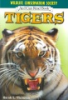 Amazing_tigers
