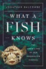 What_a_fish_knows