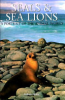 Seals___sea_lions