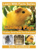 Guinea_Pigs_Photos_and_Facts_for_Everyone