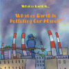 What_on_Earth_is_polluting_our_planet_