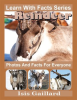 Reindeer_Photos_and_Facts_for_Everyone