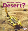 What_can_live_in_a_desert_