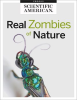 The_Real_Zombies_of_Nature