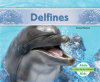 Delfines__Dolphins_