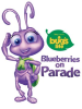 Blueberries_on_Parade
