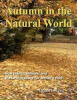 Autumn_in_the_Natural_World
