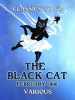 The_Black_Cat__February_1896