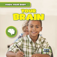 Your_brain