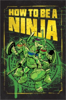 How_to_be_a_ninja