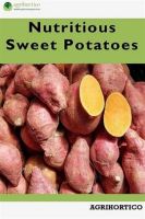 Nutritious_Sweet_Potatoes