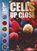 Cells_up_close