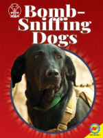 Bomb-sniffing_dogs