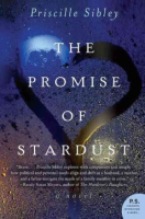 The_promise_of_stardust