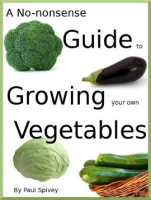 A_No-Nonsense_Guide_to_Growing_Your_Own_Vegetables
