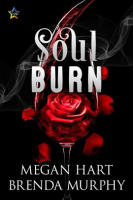 Soul_Burn