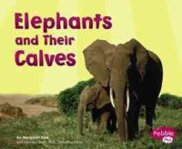 Elephants_and_their_calves