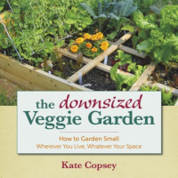The_downsized_veggie_garden