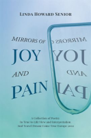 Mirrors_of_Joy_and_Pain