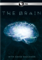 The_brain_with_David_Eagleman