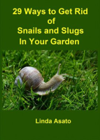 29_Ways_to_Get_Rid_of_Snails_and_Slugs_in_Your_Garden