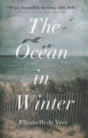The_ocean_in_winter
