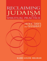 Reclaiming_Judaism_as_a_spiritual_practice