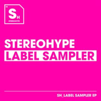 Stereohype_Label_Sampler