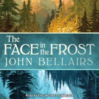 The_face_in_the_frost