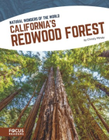 California_s_Redwood_forest