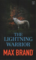 The_lightning_warrior