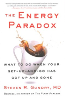 The_energy_paradox