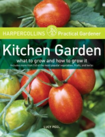 Kitchen_garden