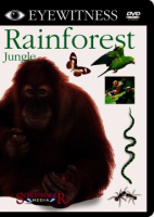 Rainforest__Jungle_