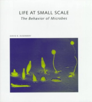 Life_at_small_scale
