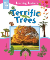 Terrific_trees