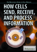 How_cells_send__receive__and_process_information