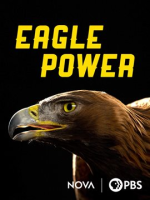 Eagle_Power