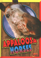 Appaloosa_horses